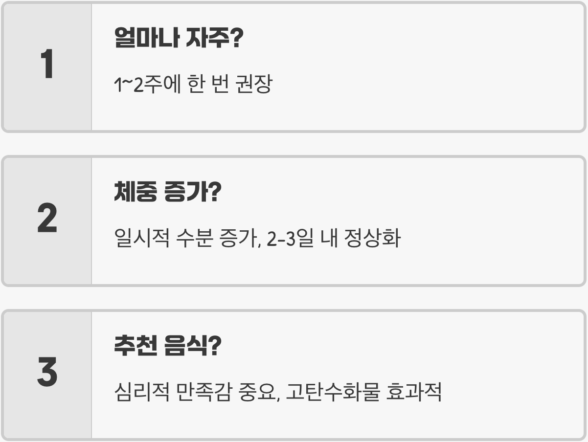 다이어트 정체기, '치팅데이'가 오히려 약이 되는 이유