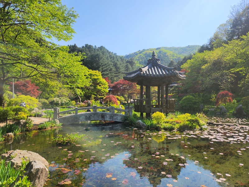 아침고요수목원 입장료&amp;#44; 방문기