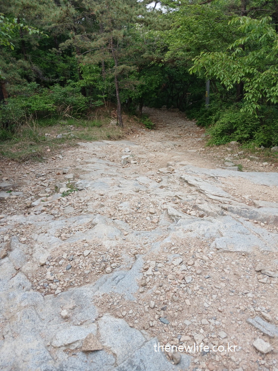 Rocky and gravel-covered early hiking trail section at Achasan-: 돌과 자갈이 섞인 아차산의 초기 등산로 구간