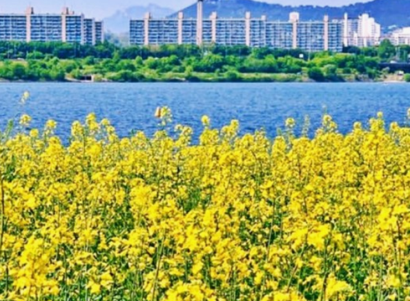 2024년 한강서래섬