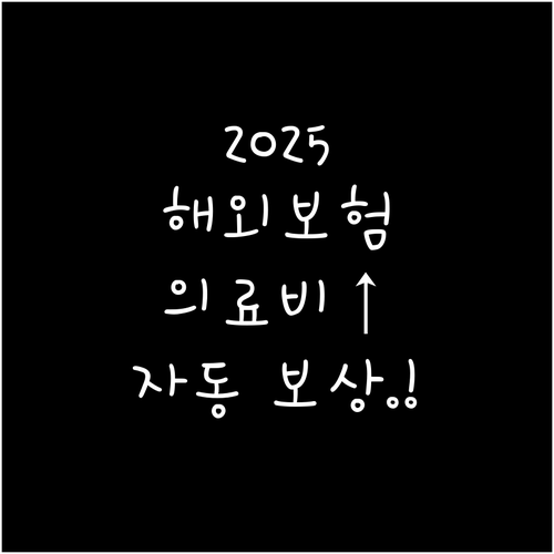 해외여행 보험 2025 의료비 한도와..