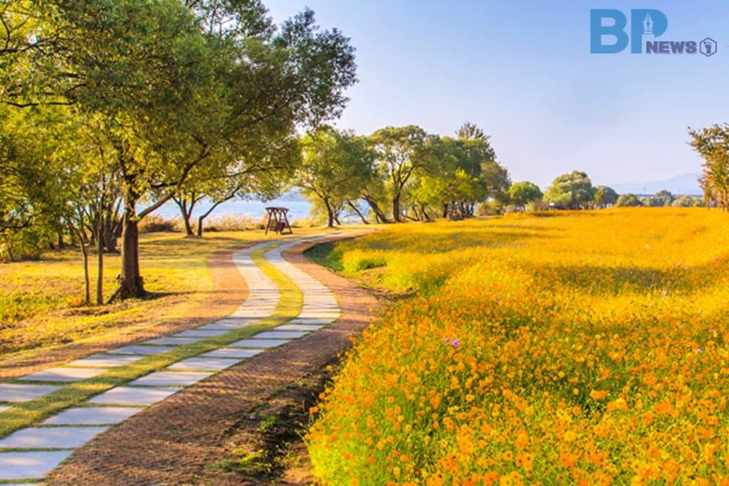 가평-베고니아새정원