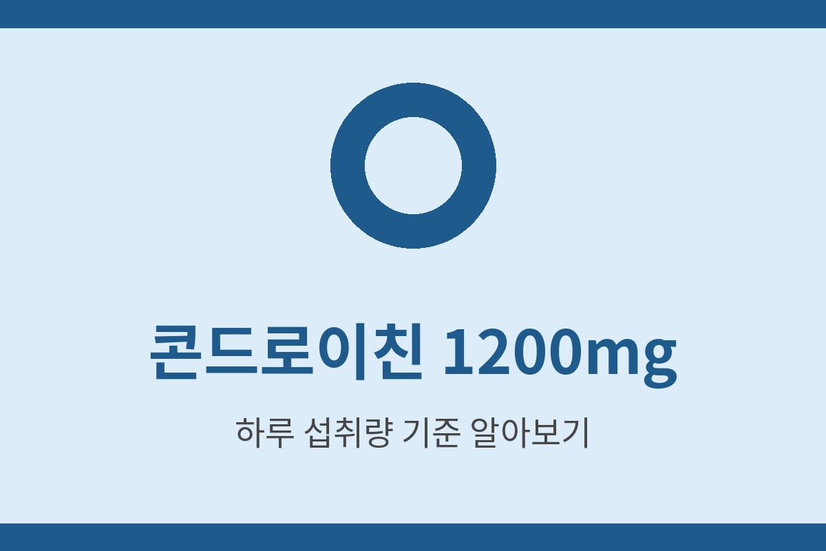 콘드로이친 1200mg