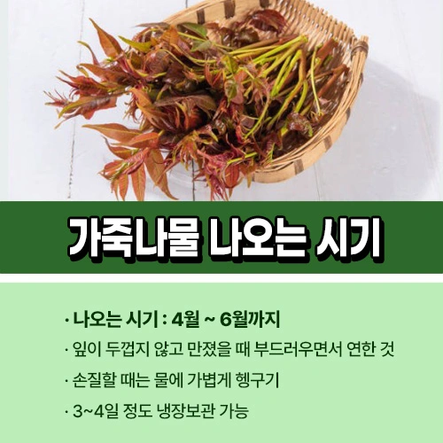 가죽나물 나오는 시기