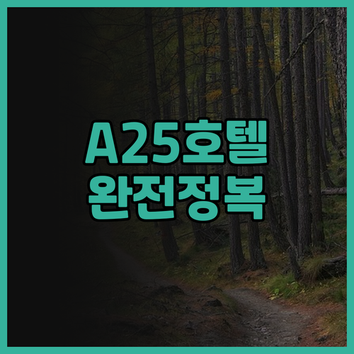 A25 호텔 완전정복 하노이 숨은 보..