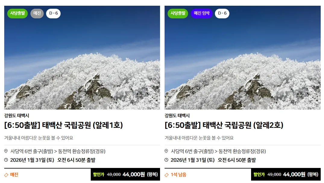 강원도 택백산 말레버스 버스 투어