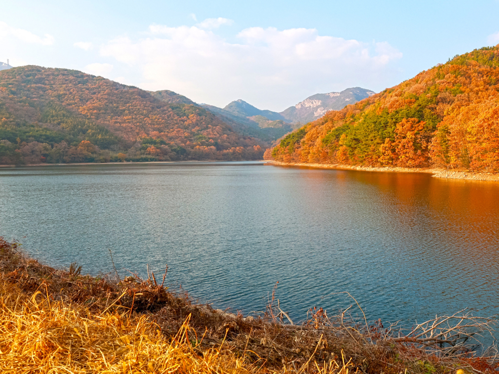 충남 계룡 안보생태탐방로