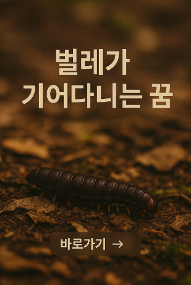 벌레가 기어다니는 꿈