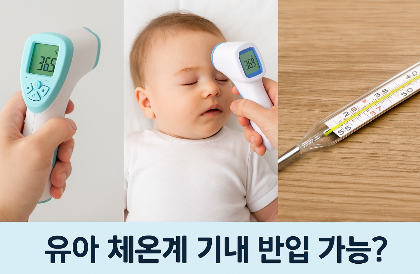 유아체온계 기내 반입 가능