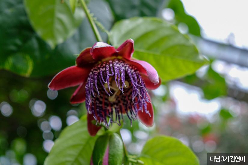  봄 커플 여행지 국내 추천 BEST 7 - 전주