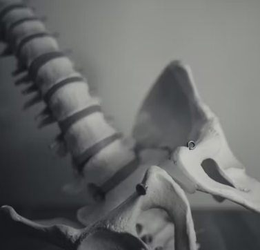 골다공증 초기증상 원인 치료방법