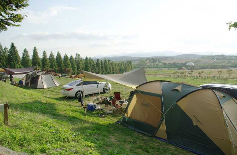 태신목장 캠핑장 이미지