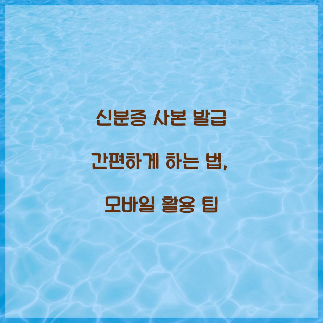 신분증 사본 발급