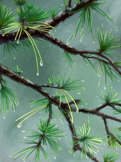 제습기 선택 6가지 기준: 제품 비교 사이트 보기