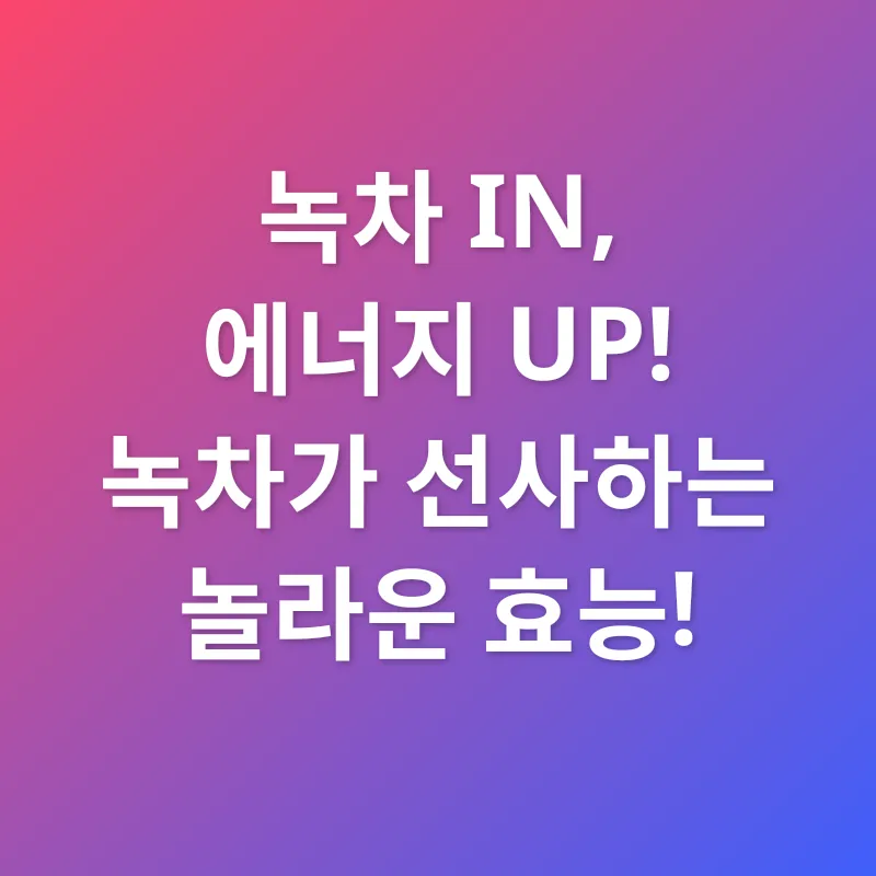 녹차의 재발견_2