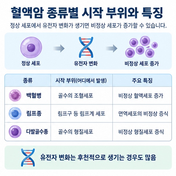 백혈병 림프종 다발골수종이 각각 조혈세포 림프계 세포 형질세포에서 시작되는 차이를 보여주는 이미지
