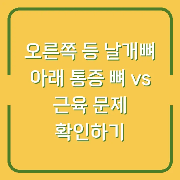 오른쪽 등 날개뼈 아래 통증 뼈 vs 근육 문제 확인하기