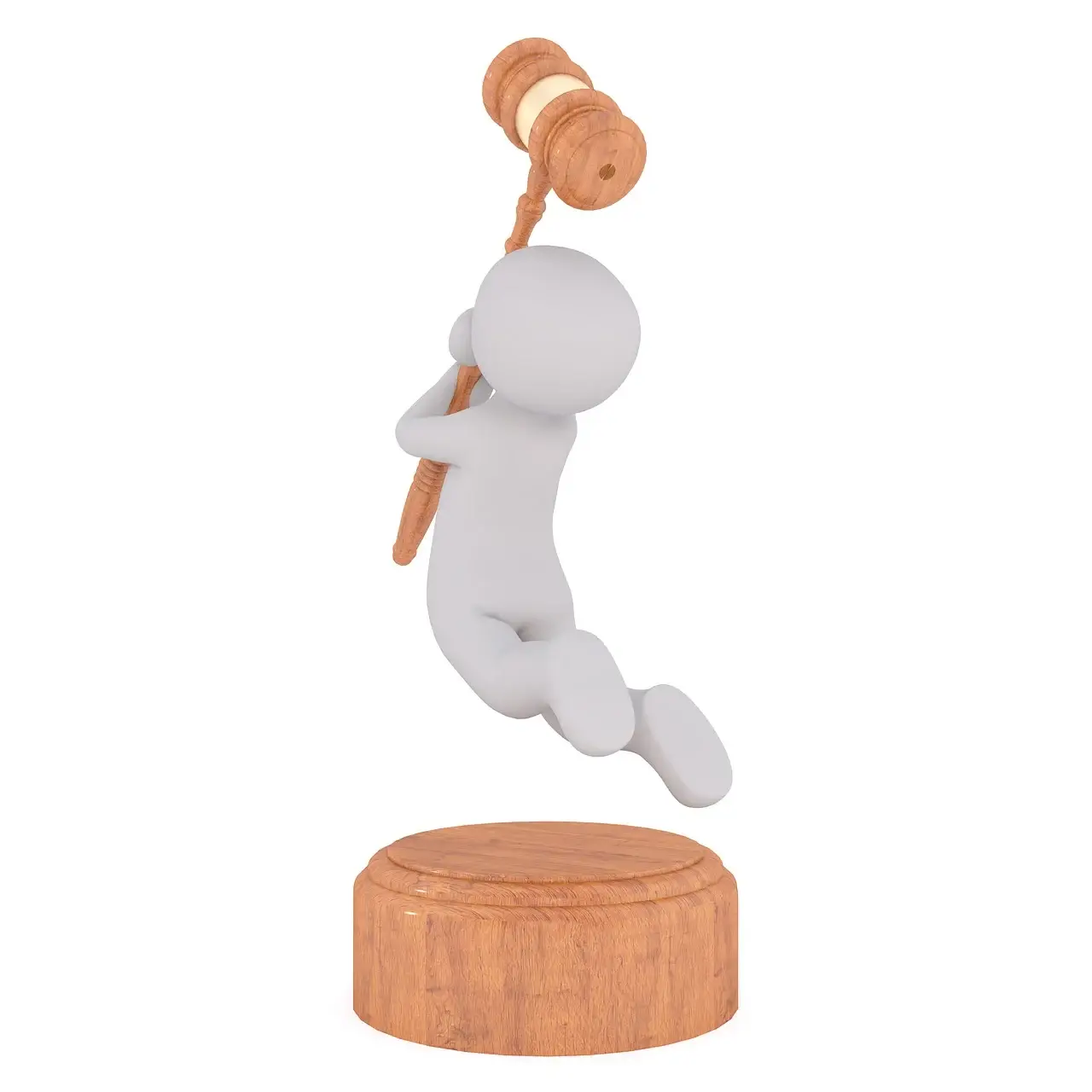 낙찰이 곧 내집이 아닌 부동산 경매 낙찰후 진행과정 정리