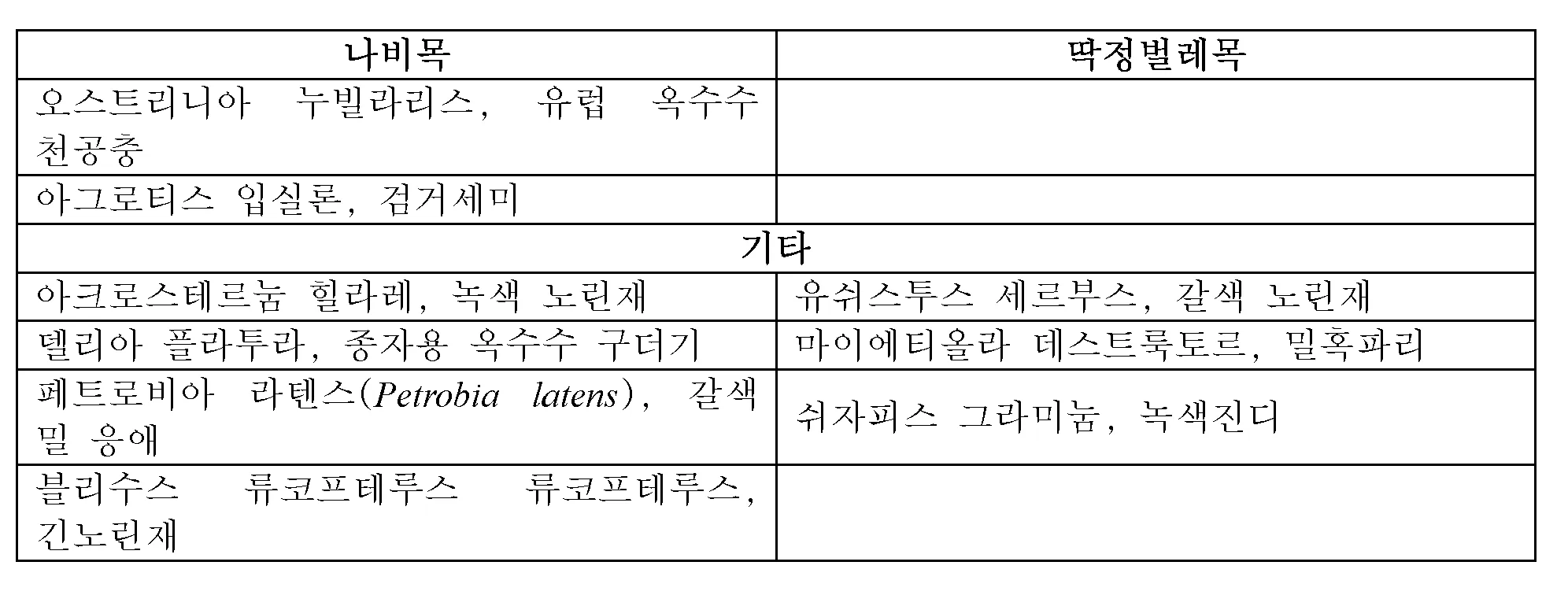 구더기 생기는 이유 방지 방법 정리_4