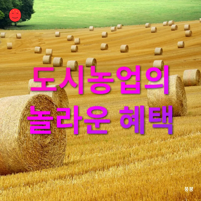 도시농업_1