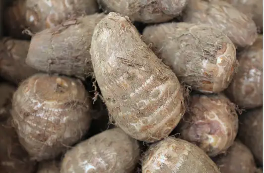 토란 효능 및 부작용&amp;#44; 먹을때 주의점