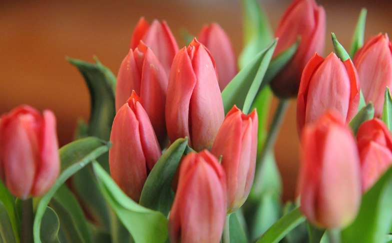 절화 묶는 기법