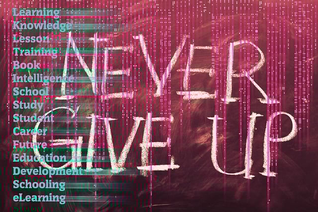 부모가 선택하는 초중등 이러닝: 선택, 기준, 핵심 요소