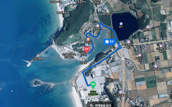 태안튤립축제 기간 장소 입장료 할인 주차장 맛집 방포항길