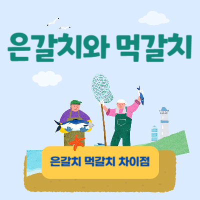 은갈치-먹갈치-차이점