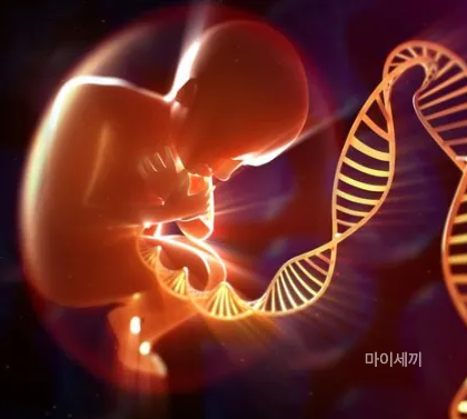 마에스트라 유전병 헌팅턴병 차세음 엄마병 증상 원인 치료방법