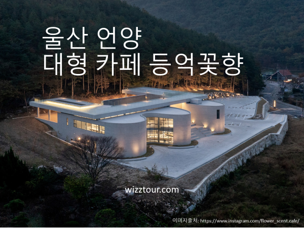 울산 언양 등억꽃향