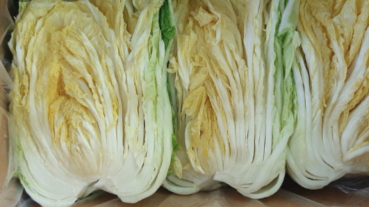 절임배추 보관방법