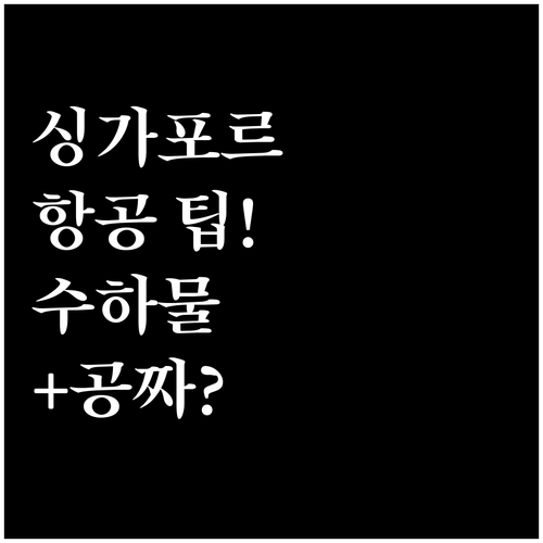 싱가포르항공 마일리지 회원 추가 수하..