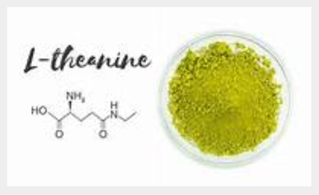피로-회복-영양제