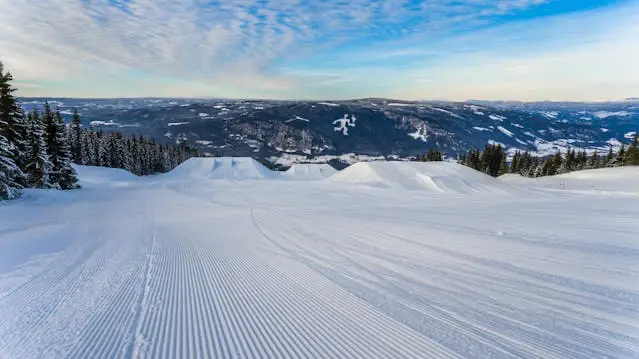 동계스포츠가 열리는 설원