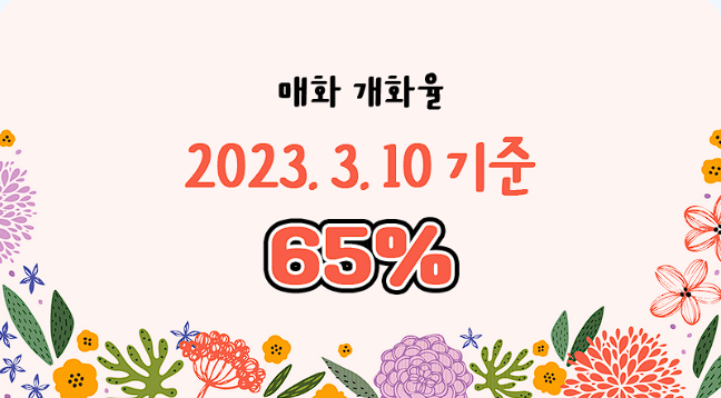 광양 매화축제