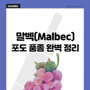 말벡-품종