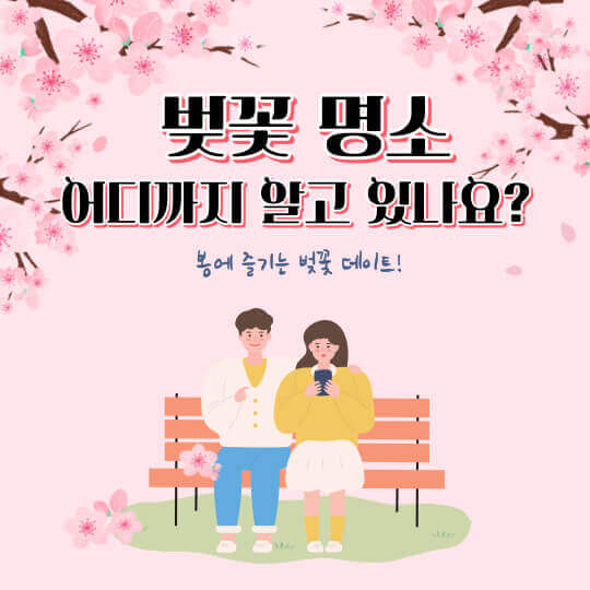 2024년 벚꽃 축제 만개 개화시기 명소 가볼만한 곳