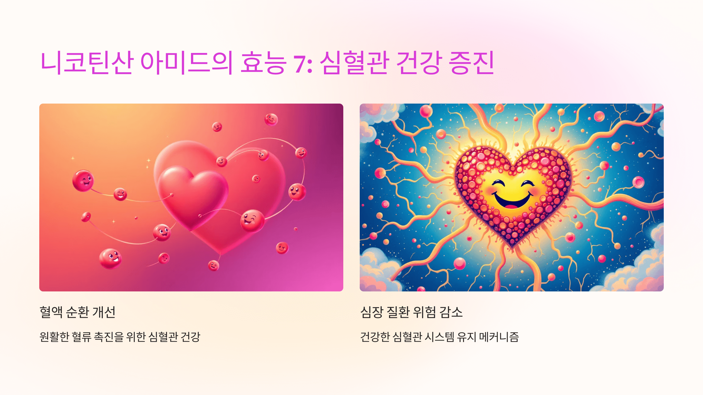 니코틴산 아미드와 관련된 사진입니다.