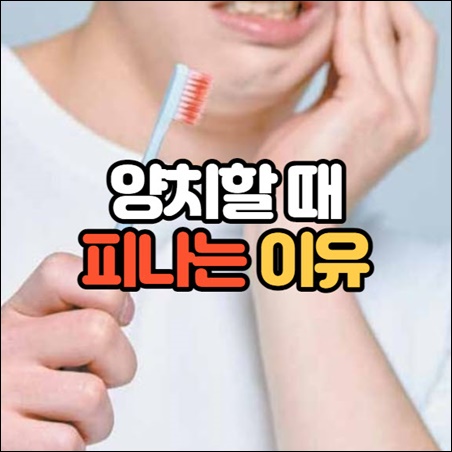 양치할때 피나는 이유