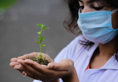 음식과 과학의 만남 가짜 음식이 식품 연구에 활용되는 방법