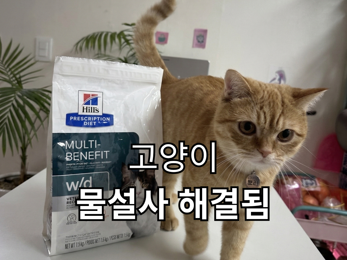 고양이 물설사 해결에 도움된 힐스 w/d 사료와 집고양이 모습
