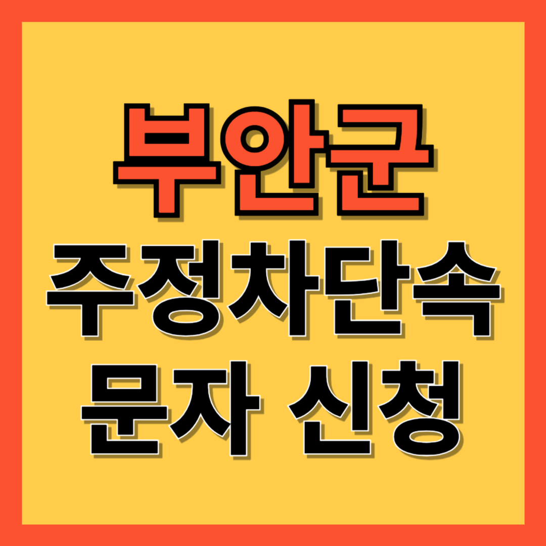 부안군 주정차 단속 알림 서비스 신청 방법 ❘ 주차단속 문자알림서비스