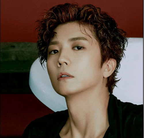 ESFP 성격 유형의 연예인 2PM 우영