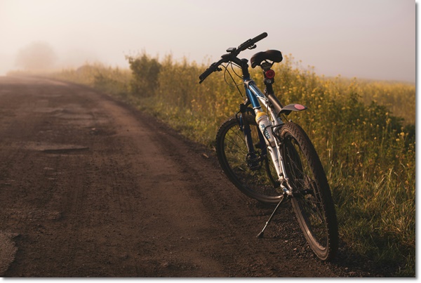 따릉이 사용법 무료 자전거의날