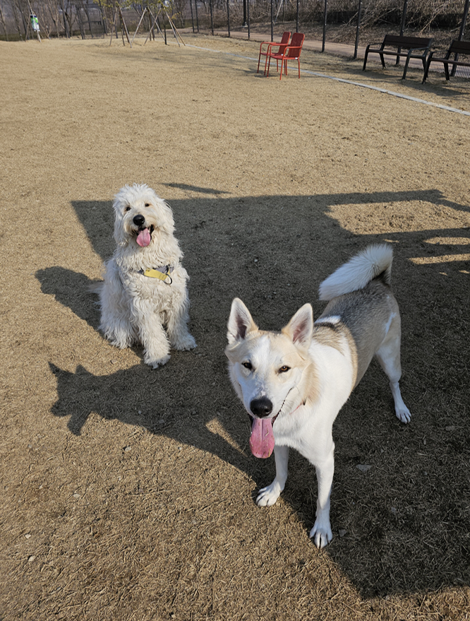 📸 인생샷 건질 수 있는 포토존