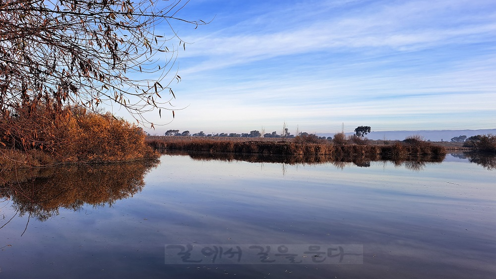 Coyote Hills Regional Park