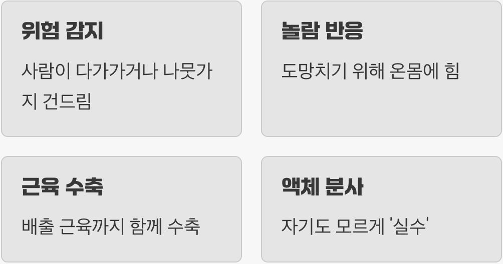 방어 행동이라는 흔한 오해