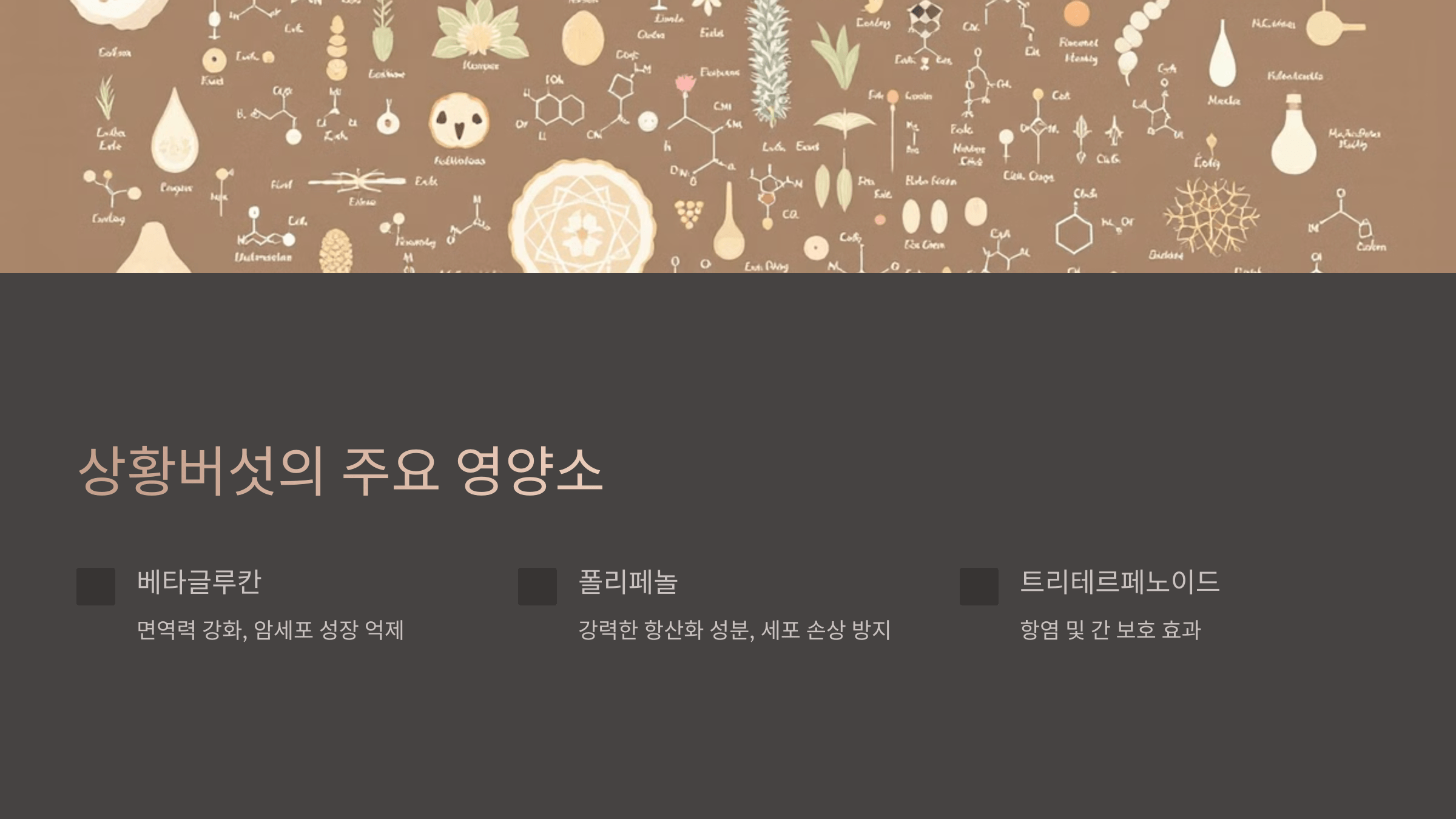 상황버섯과 관련된 사진입니다.