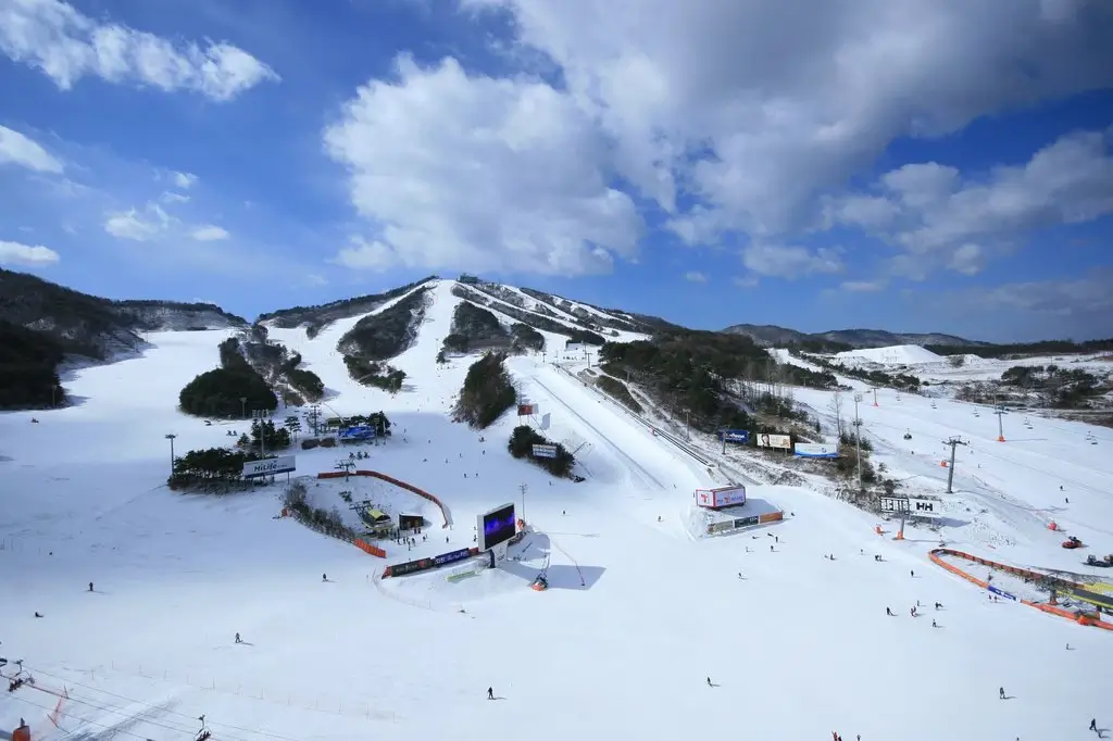 웰리힐리-스키장